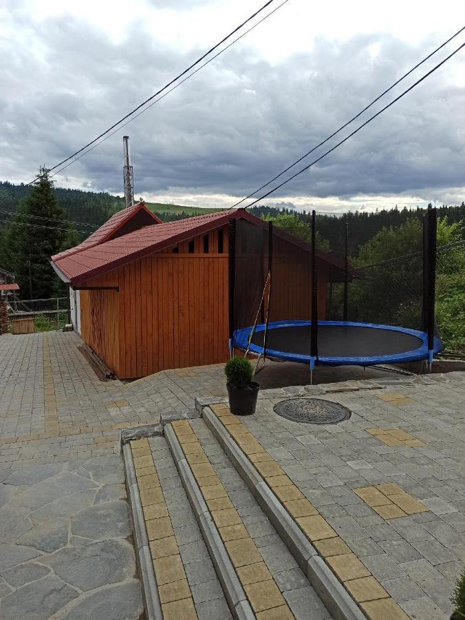 Brand New 2020 Specious Apartment Druzi 2 Palyanytsya Esterno foto