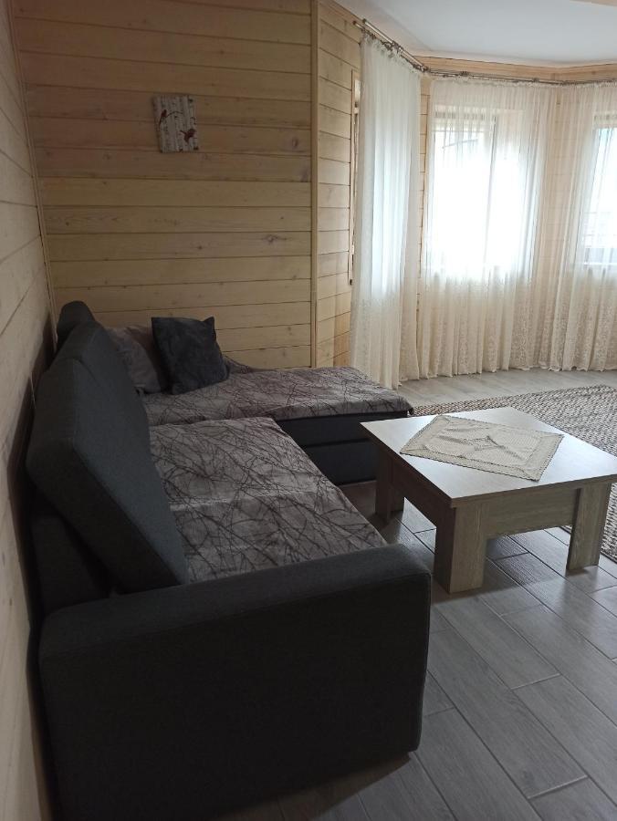 Brand New 2020 Specious Apartment Druzi 2 Palyanytsya Esterno foto