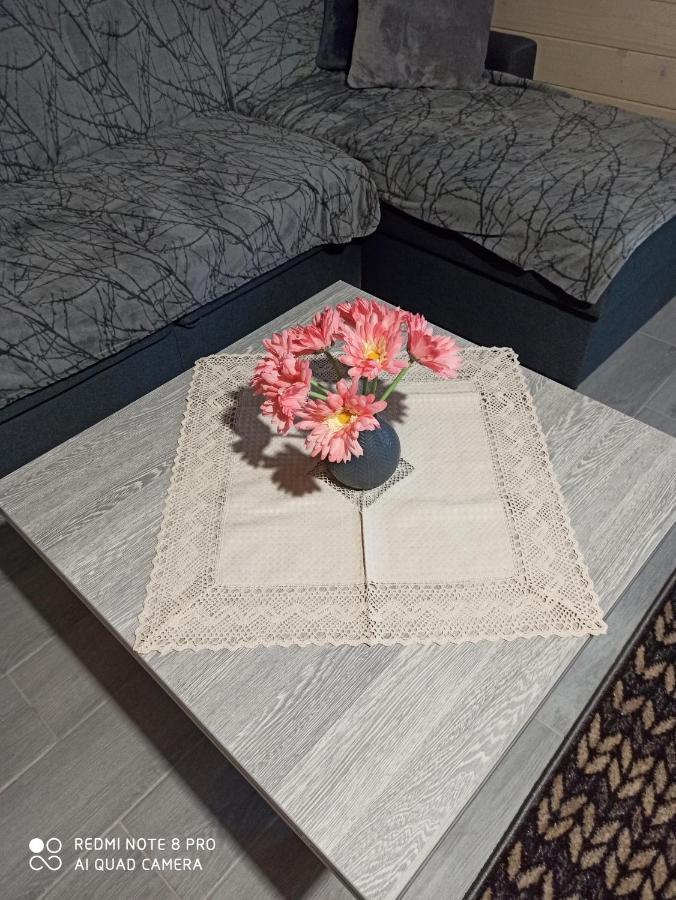 Brand New 2020 Specious Apartment Druzi 2 Palyanytsya Esterno foto