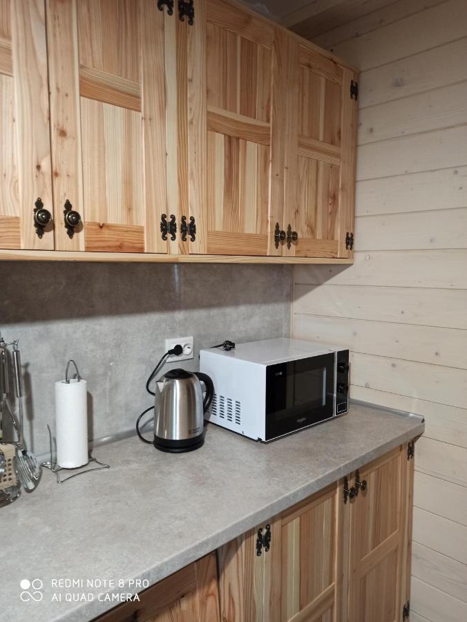 Brand New 2020 Specious Apartment Druzi 2 Palyanytsya Esterno foto
