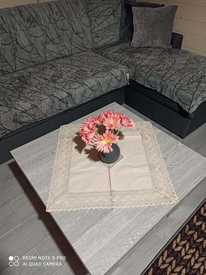 Brand New 2020 Specious Apartment Druzi 2 Palyanytsya Esterno foto